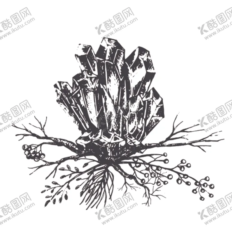 编号：66628507092202549051【酷图网】源文件下载-森系简约装饰图案