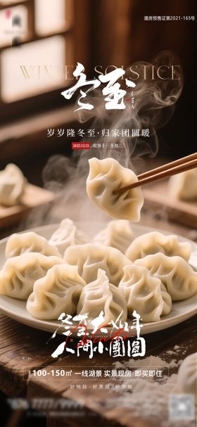冬至吃饺子传统节气海报