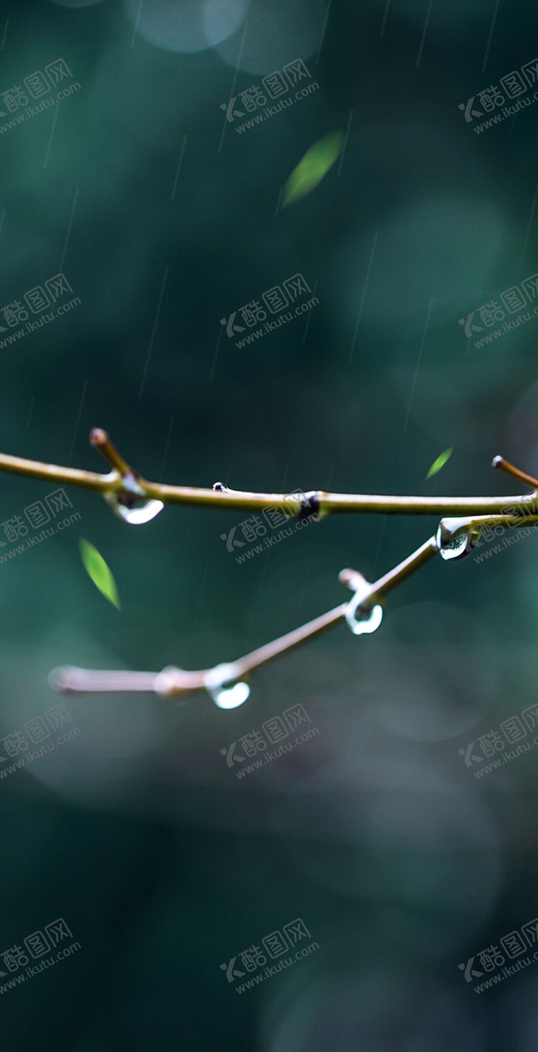 编号：26014207080020557200【酷图网】源文件下载-谷雨