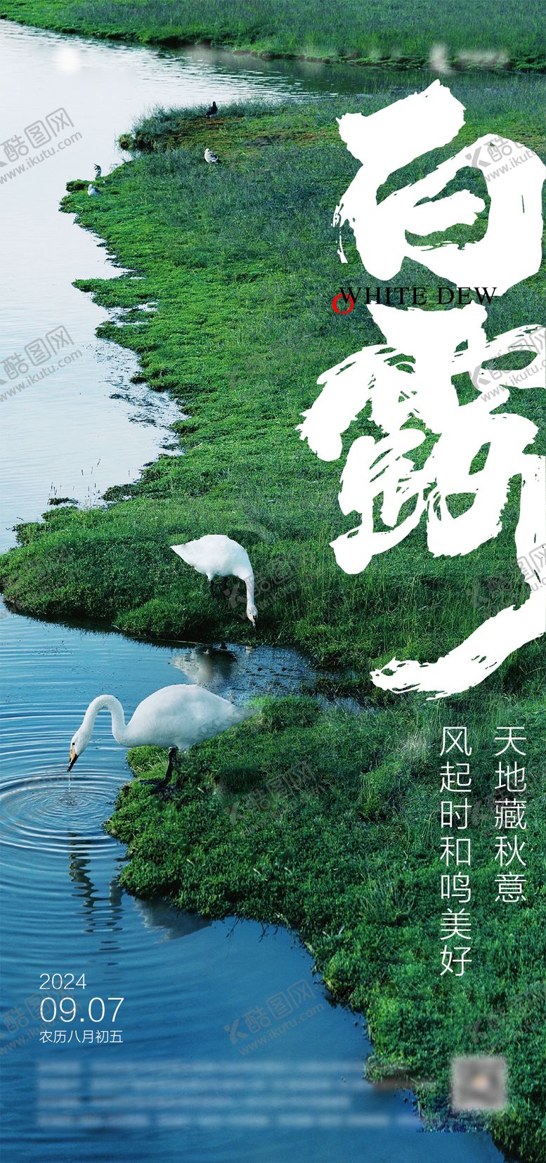 编号：67867212031359225583【酷图网】源文件下载-白露节气海报