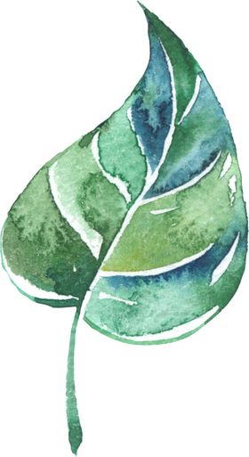 手绘薰衣草