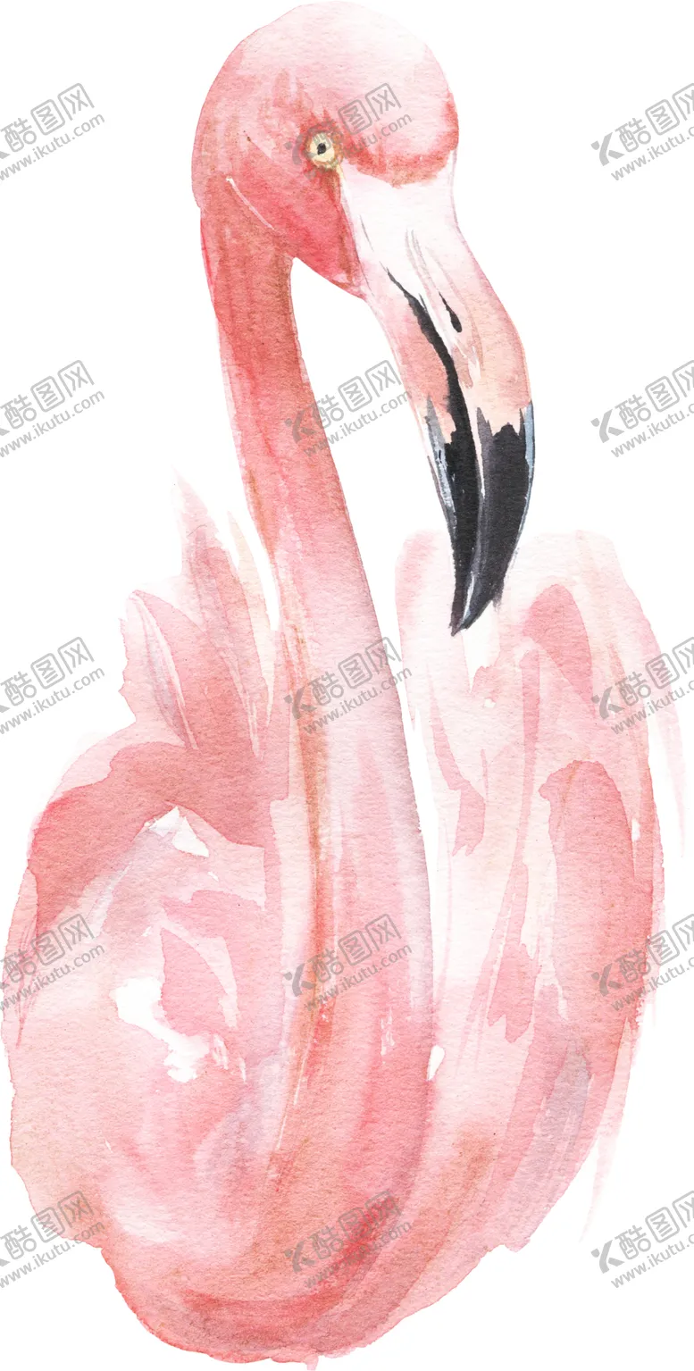 编号：64923401270103417865【酷图网】源文件下载-火烈鸟