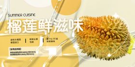 榴莲展板