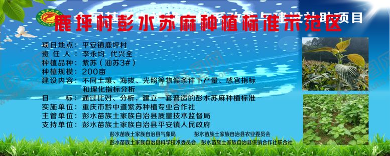 编号：33855007041240384597【酷图网】源文件下载-苏麻基地苏麻