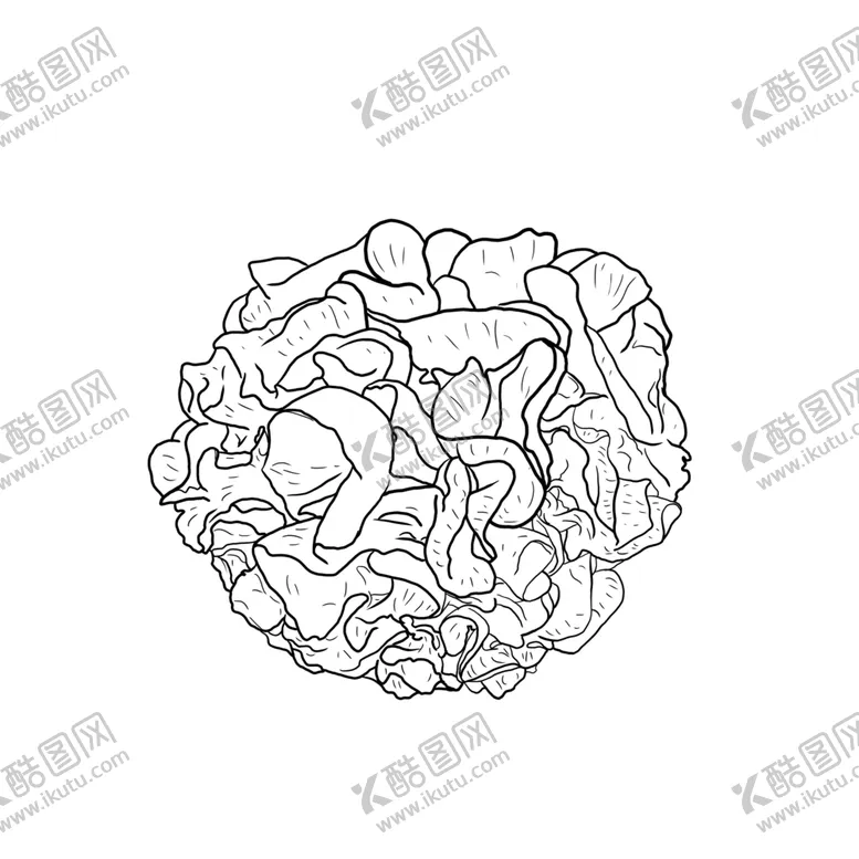 编号：44576407021926357517【酷图网】源文件下载-雪耳