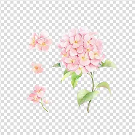 花卉图案朵图案手绘朵素材