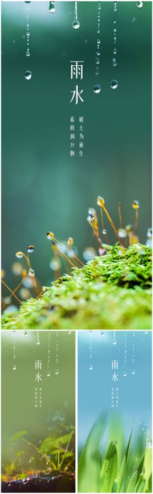 雨水节气系列海报