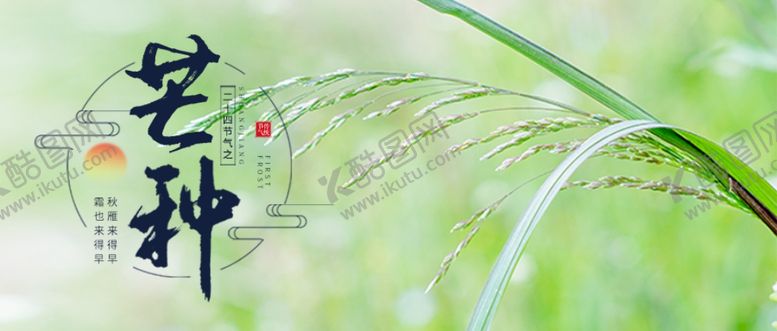 编号：87606706301222325124【酷图网】源文件下载-芒种芒种海报二十四节气