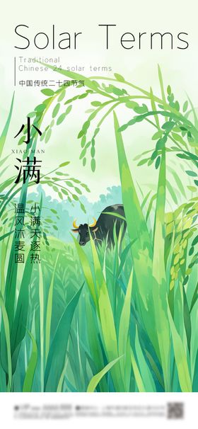 小满节气海报处暑春分夏至大暑