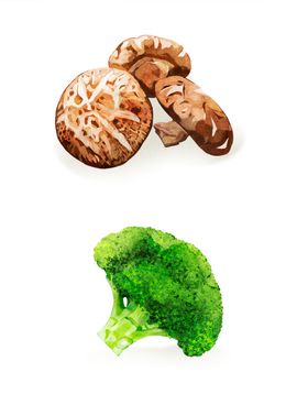 手绘香菇西兰花