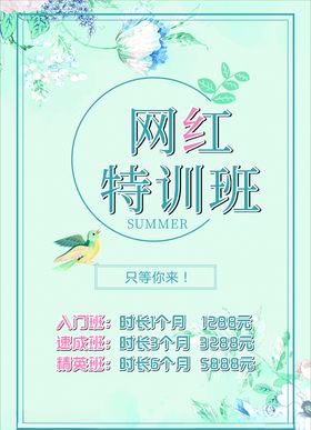 海报特训班网红