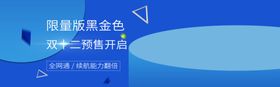 双12预售