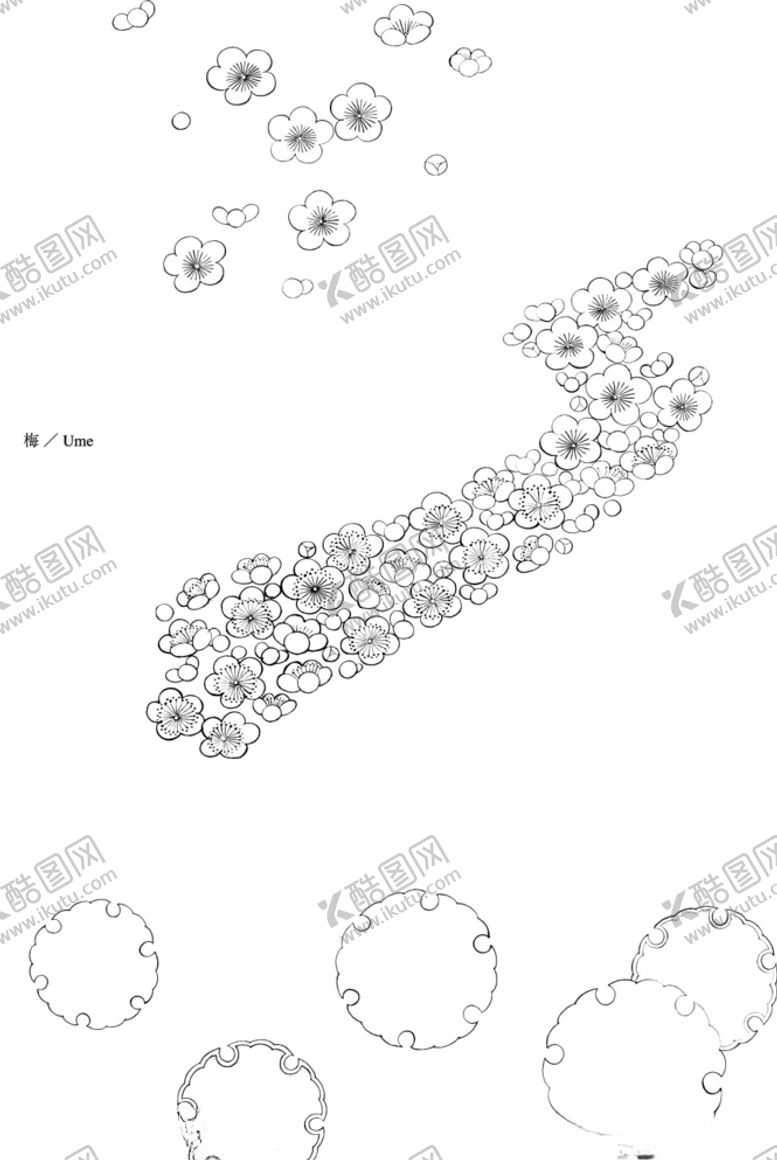 编号：29048410200924511343【酷图网】源文件下载-日本线描植物花卉矢量素材