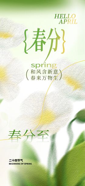 春分海报节气24节气朋友圈白色