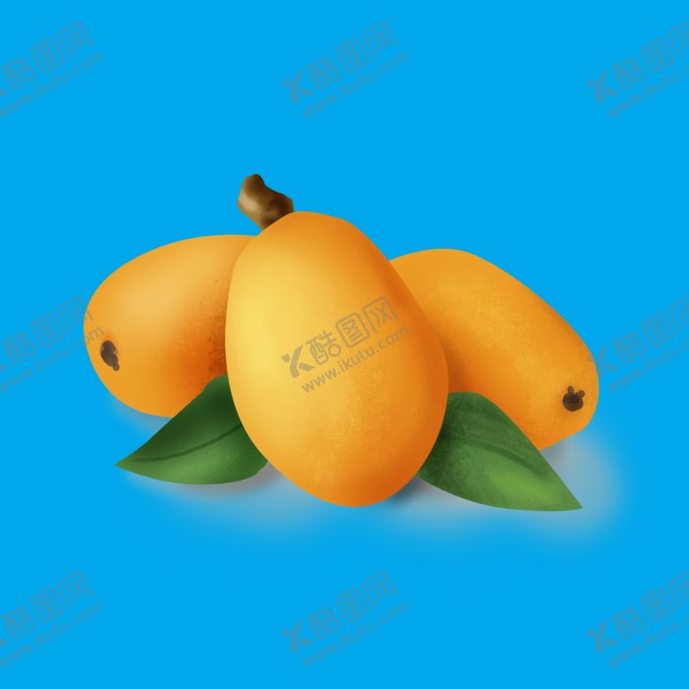 编号：61657909170344367708【酷图网】源文件下载-枇杷