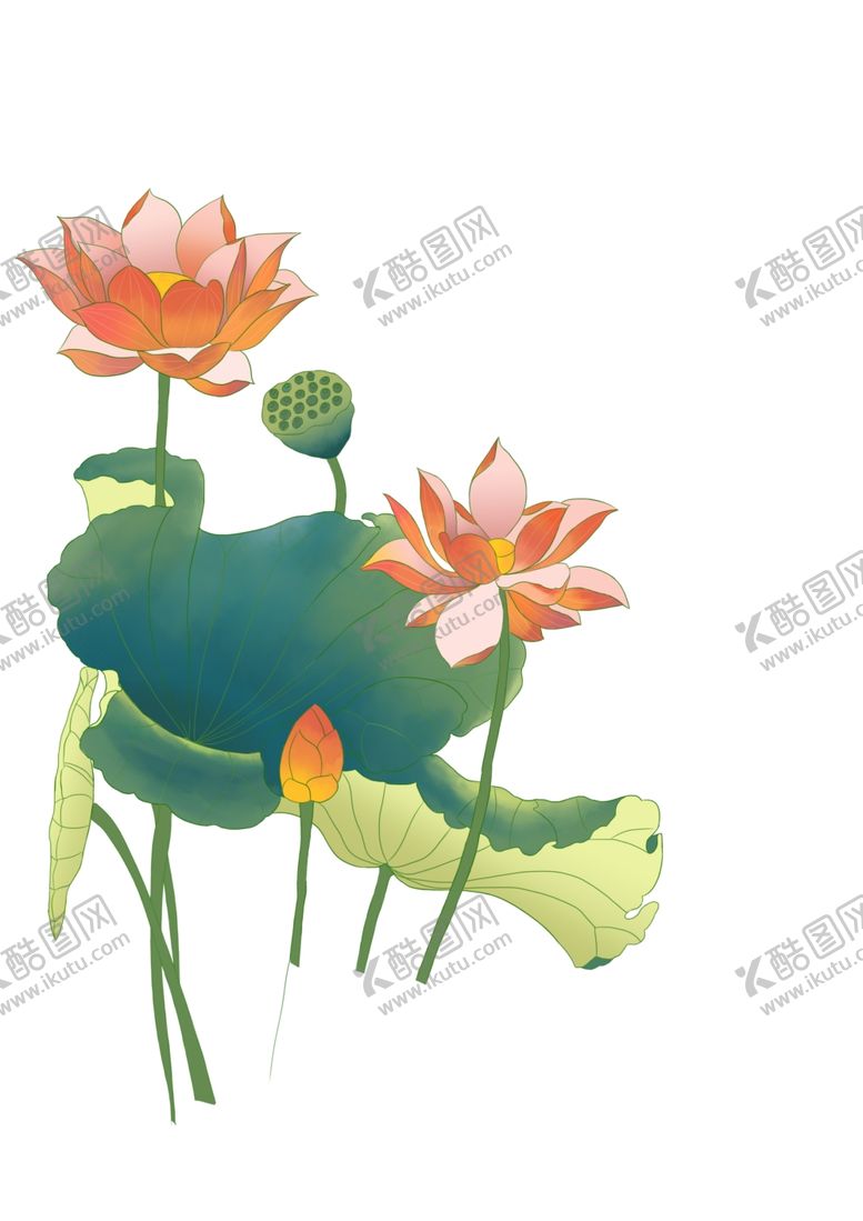 编号：79353404171051512645【酷图网】源文件下载-手绘荷花