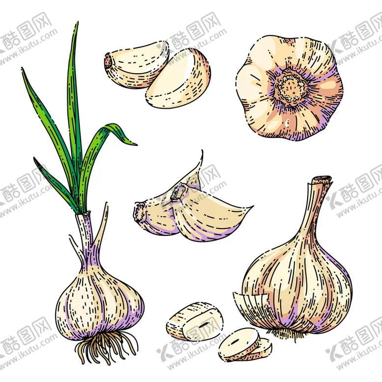 编号：08423509211508567415【酷图网】源文件下载-美食  