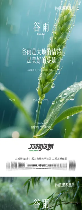 谷雨节气节日海报