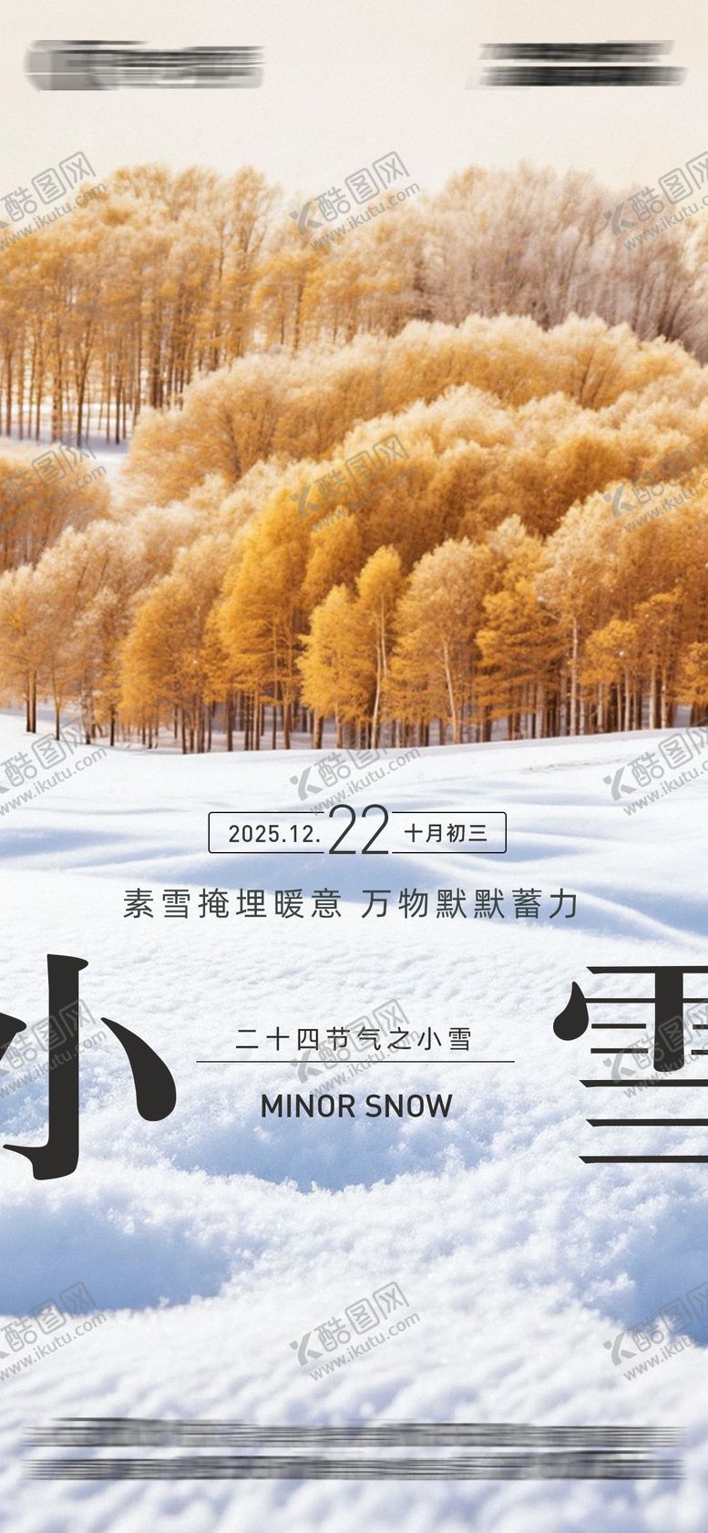 编号：65995011200111334691【酷图网】源文件下载-小雪节气海报
