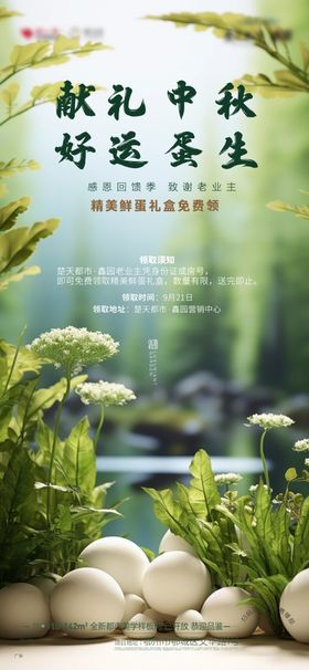 鸡蛋旅游超值地产房地产
