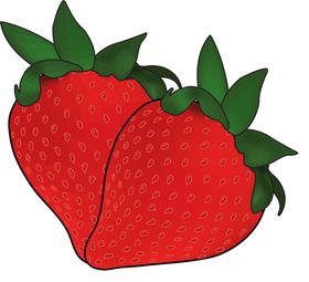 草莓