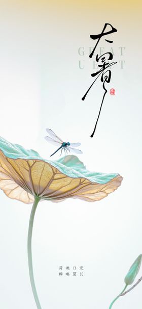 大暑小暑处暑节气节日海报