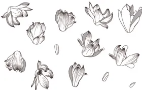 玉兰花纹插画矢量背景底纹