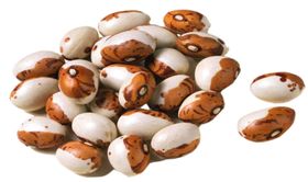 豆子