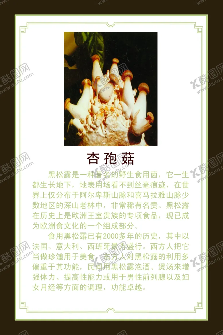 编号：64991205031442437664【酷图网】源文件下载-杏孢菇简介