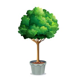 绿色植物蝴蝶墙面背景