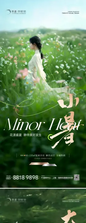 地产小暑大暑摄影写实系列海报