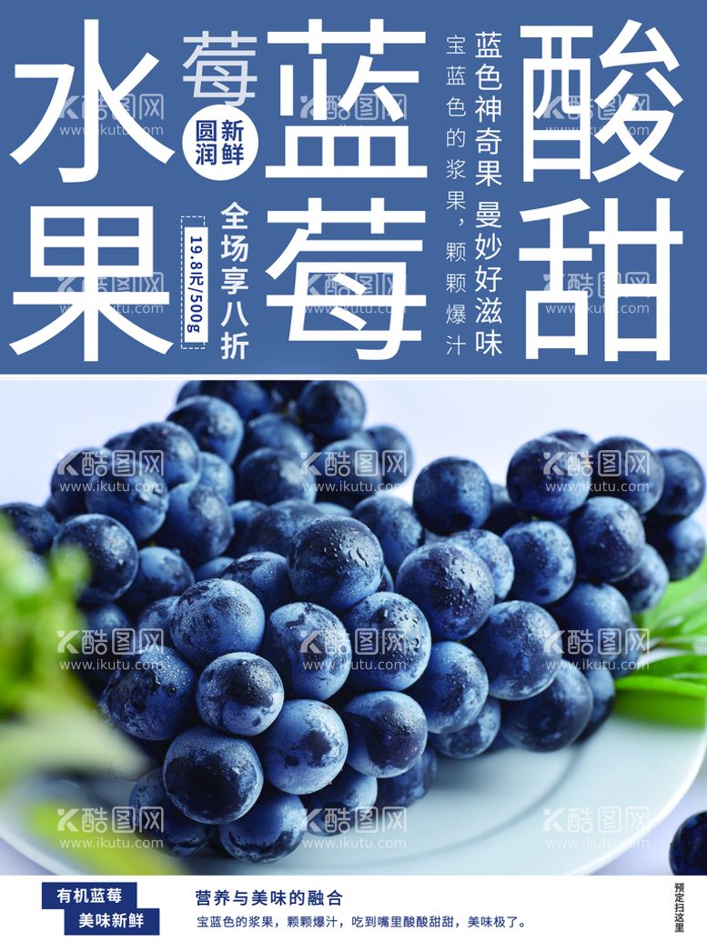 编号：47130609260903113427【酷图网】源文件下载-蓝莓