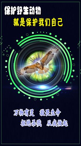 野生动物宣传图片