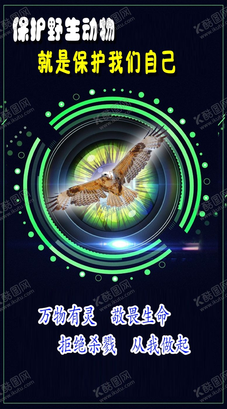 编号：85916109190956527035【酷图网】源文件下载-野生动物宣传图片