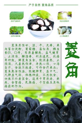 菱角作用展板海报