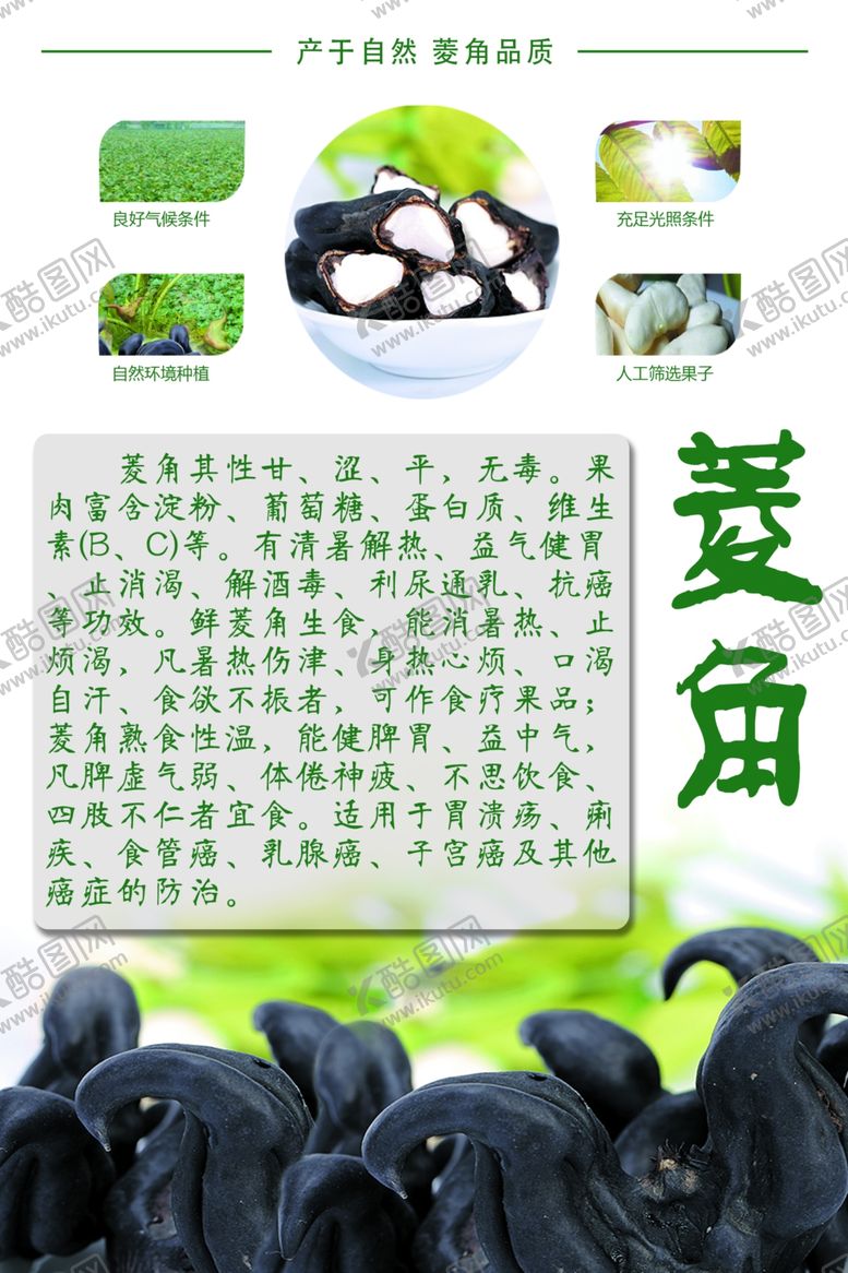 编号：22210310252208373390【酷图网】源文件下载-菱角作用展板海报