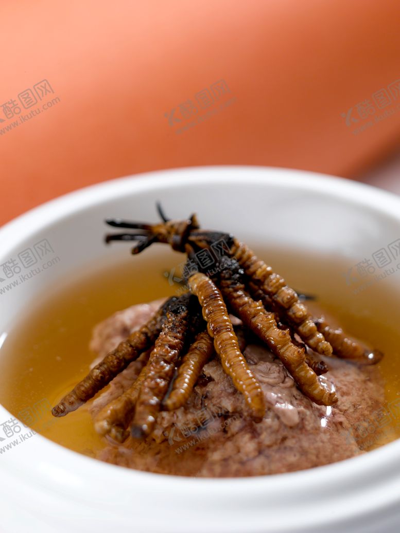 编号：89749102220756537083【酷图网】源文件下载-虫草炖肉丸