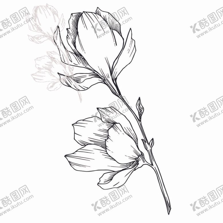 编号：67311611302239435193【酷图网】源文件下载-植物白描速写     