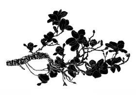 玉兰花卉矢量绘画卡通