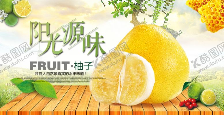 编号：72862905032032336876【酷图网】源文件下载-柚子海报