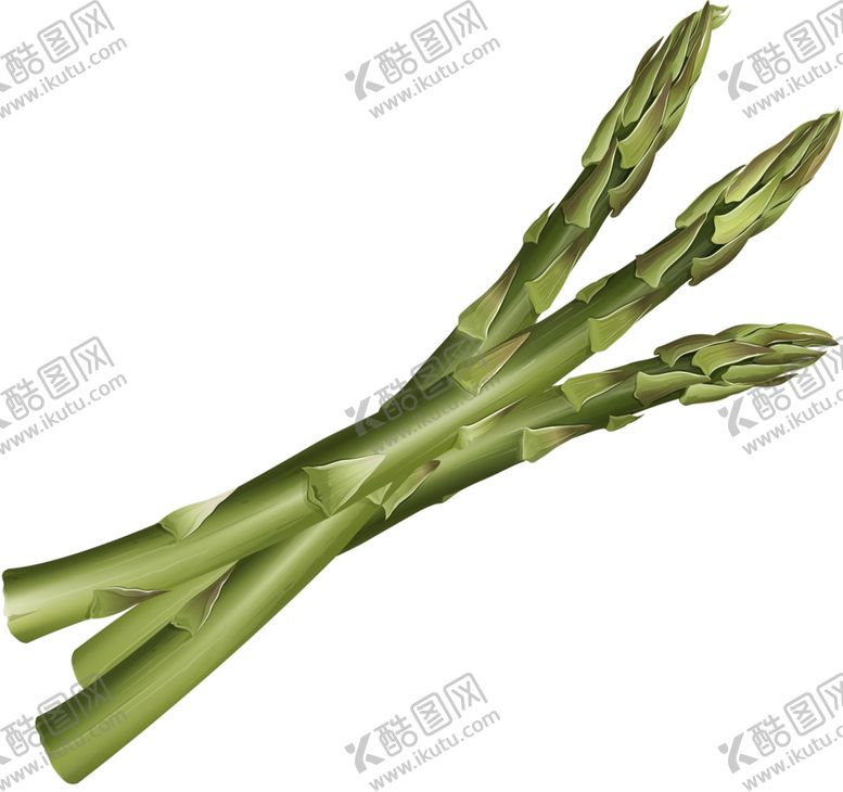 编号：52073109192318329469【酷图网】源文件下载-绿色相框