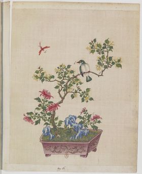 盆景花鸟
