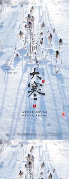 大寒小寒海报