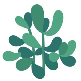 小清新仙人掌绘画图案