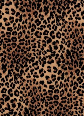 豹纹图案纹理背景