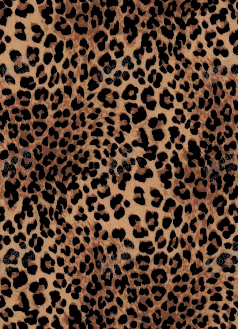 编号：65615204040010249799【酷图网】源文件下载-豹纹图案背景纹理