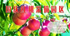 国庆红桃采摘园区