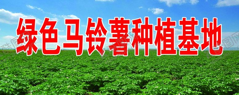 编号：46813307090022439045【酷图网】源文件下载-马铃薯
