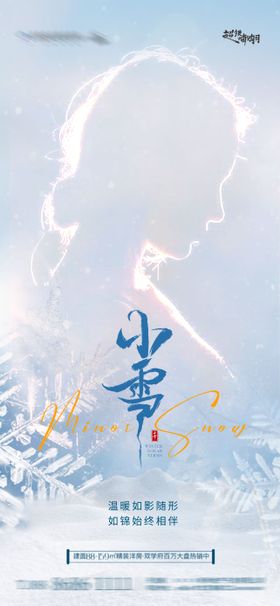 中国二十四节气小雪医美创意海报