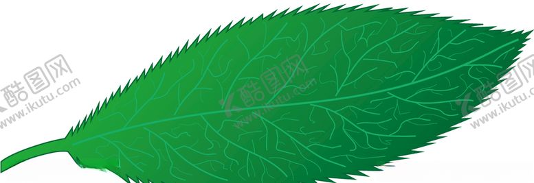 编号：55831210121545297302【酷图网】源文件下载-叶子